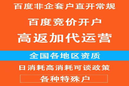 竞价排名在搜索引擎营销中的运用案例